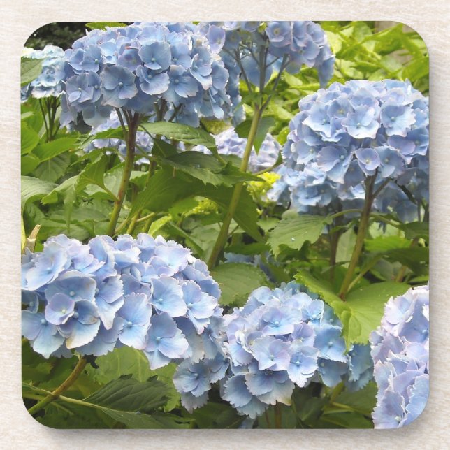 Porta-copo Hydrangeas Azul Profundo (Frente)