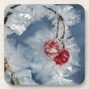 Porta-copo Ice Berries