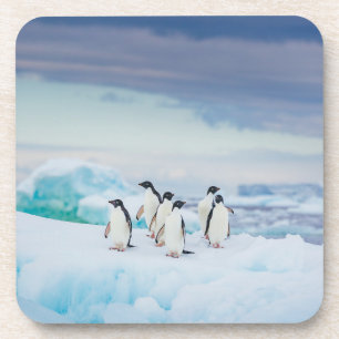 Porta-copo Ice & Snow   Adelie Penguins Antarctica