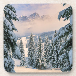 Porta-copo Ice & Snow   Rosengarten, Germany