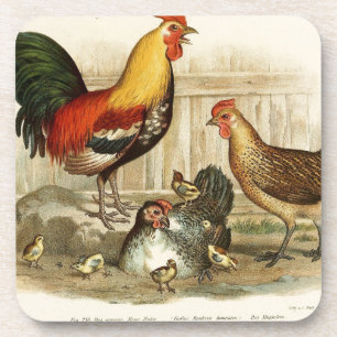 Porta-copo Ilustração da família da galinha do vintage