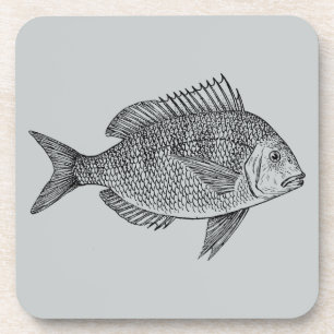 Porta-copo Ilustração de arte marinha náutica de peixes de