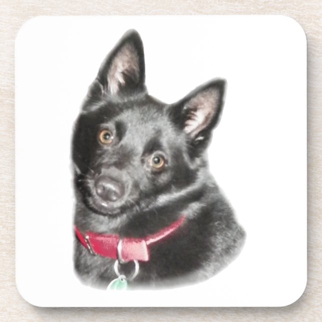Porta-copo Imagem de Schipperke (Frente)