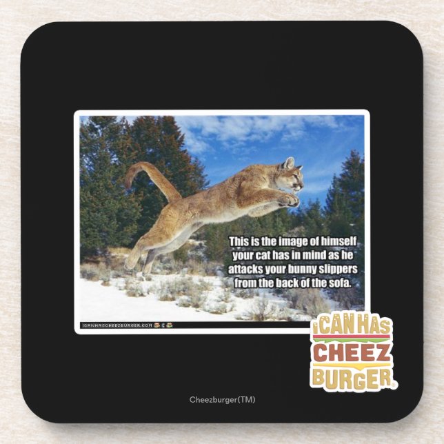 Porta-copo Imagem do gato (Frente)