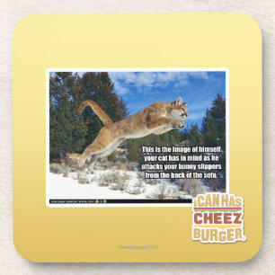 Porta-copo Imagem do gato