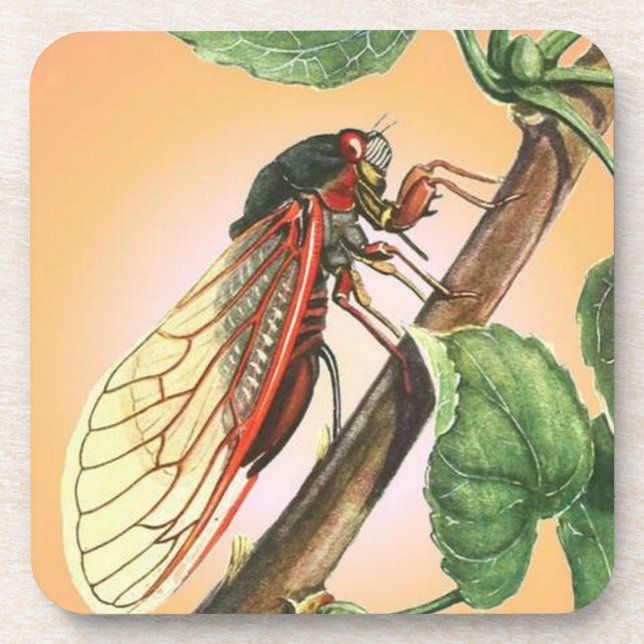 Porta-copo Imagem do Inseto de Cicada (Frente)