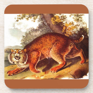 Porta-copo impressão de lince do século XIX