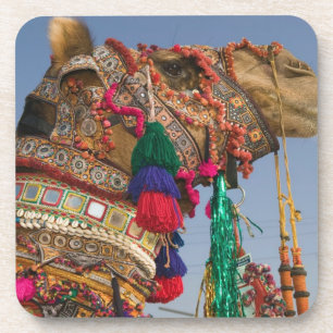 Porta-copo ÍNDIA, Rajasthan, Pushkar: FEIRA DE CAMELÔS DE PUS