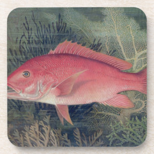 Porta-copo Instantâneo Vermelho, de 'Peixes de Jogo dos Esta