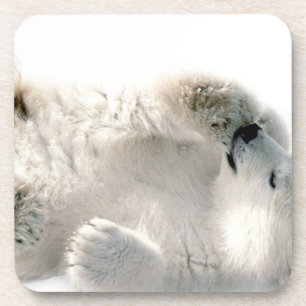 Porta-copo Inverno congelado ártico animal bonito de Cub de