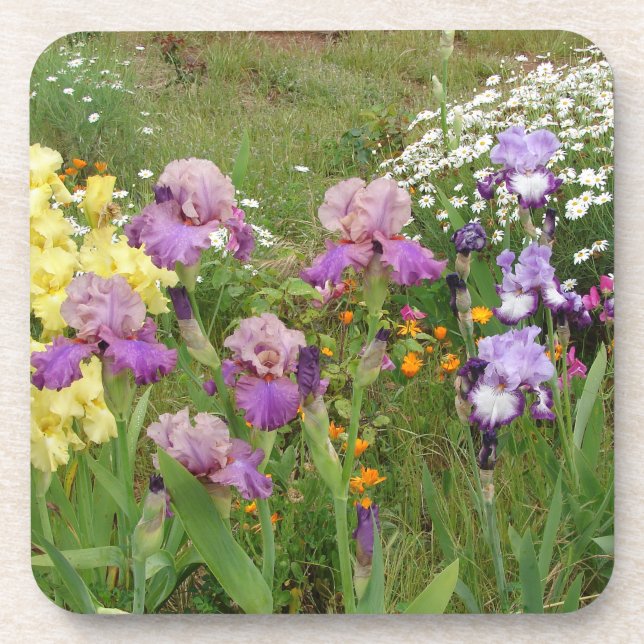 Porta-copo Iris irises florais Flores Jardim de Algodão Anive (Frente)