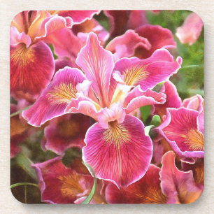 Porta-copo Íris Rosa Laranja