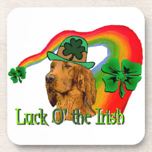 Porta-copo Irish Setter St Patricks