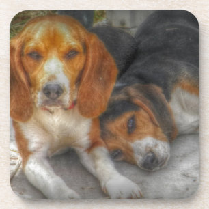 Porta-copo Irmão Beagles