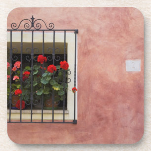 Porta-copo Itália, Asciano, Caixas de Janela com Primavera Fr