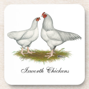 Porta-copo Ixworth Chickens