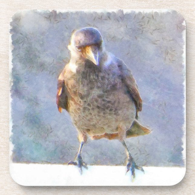Porta-copo Jackdaw Watercolor (Frente)
