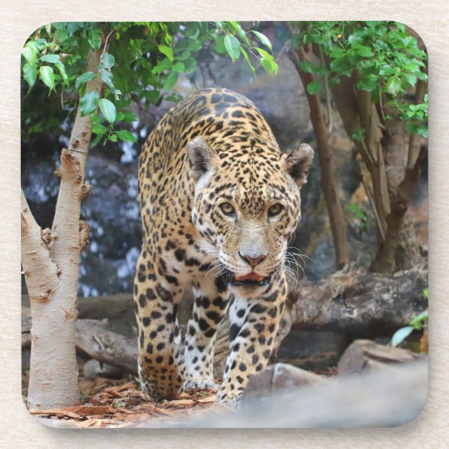 Porta-copo Jaguar20150501 (Frente)