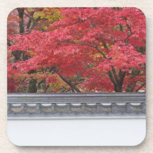 Porta-copo Japão, Kyoto, cor do outono no Templo de Eikando