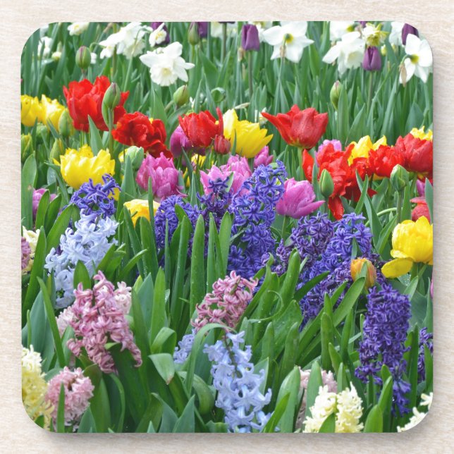 Porta-copo Jardim de primavera colorida (Frente)