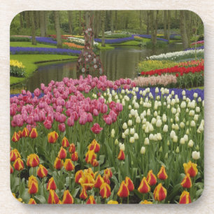 Porta-copo Jardim Tulip e Hyacinth, Jardins Keukenhof,