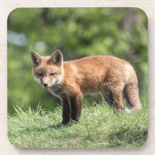 Porta-copo Jogo do Fox vermelho