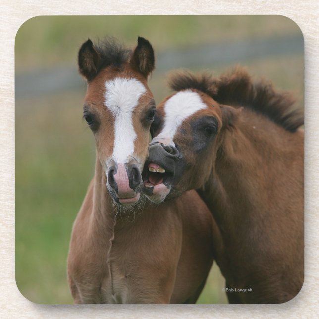 Porta-copo Jogo dos potros (Frente)