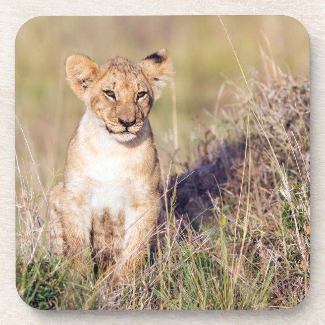 Porta-copo Jovem (Frente)