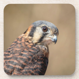 Porta-copo Kestrel Americano