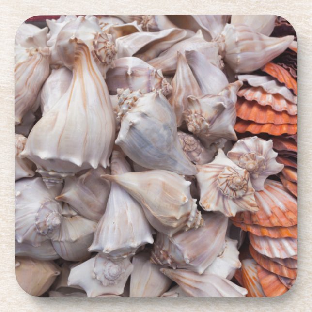 Porta-copo Key West, conchas (Frente)