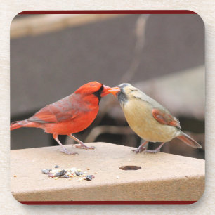 Porta-copo Kissing Cardinals