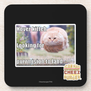 Porta-copo Kitteh do pairo