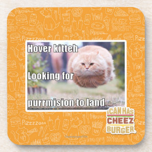 Porta-copo Kitteh do pairo