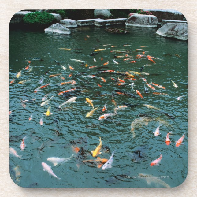 Porta-copo Koi em uma lagoa (Frente)