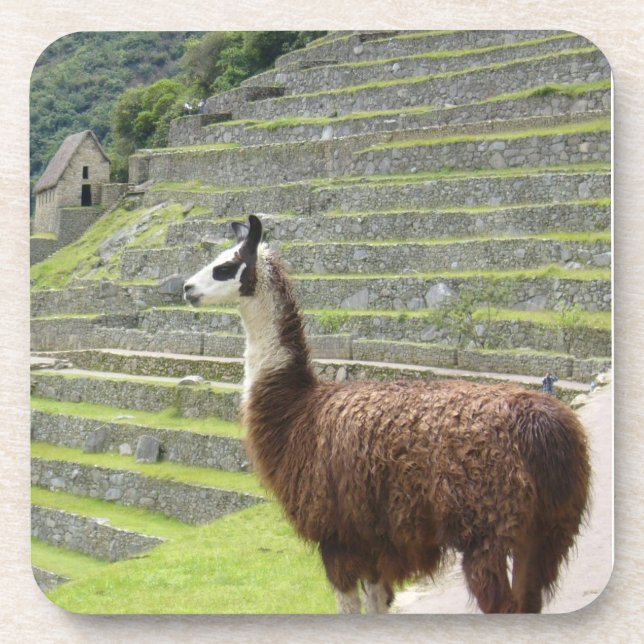 Porta-copo lama (Frente)