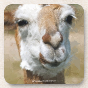 Porta-copo Lama feliz, efeito de pintura