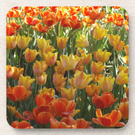Porta-copo Laranja-&-Amarelo-Tulips.jpg