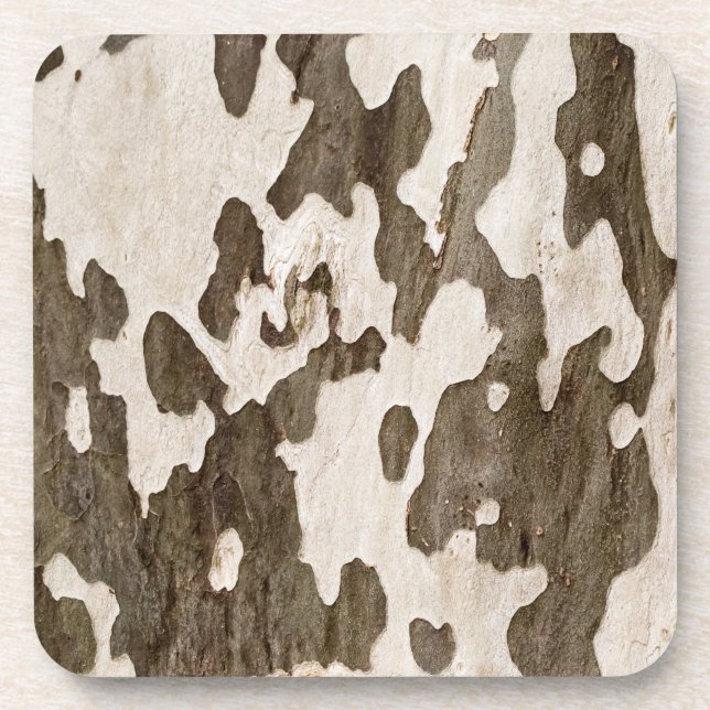 Porta-copo Latido Sycamore (Frente)