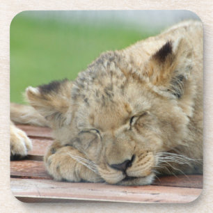 Porta-copo Leão 014