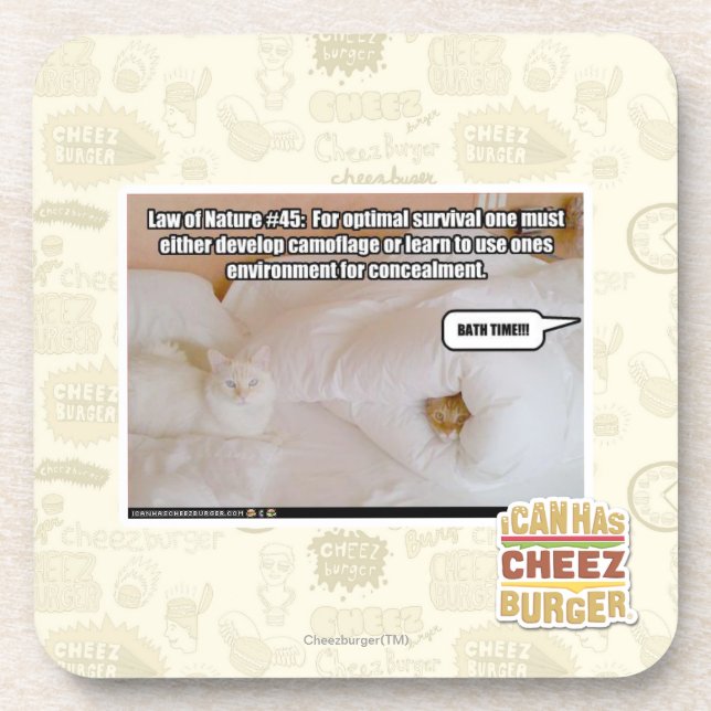 Porta-copo Lei de natureza #45 (Frente)