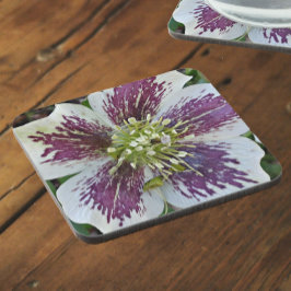 Porta-copo Lenten Rosa Hellebore Floral