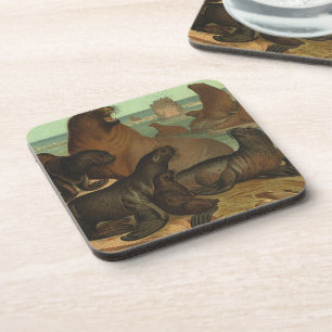 Porta-copo Leões-marinhos na Praia, Animais da Vida Marinha A