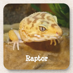 Porta-copo Leopard Personalizado Gecko Lizard