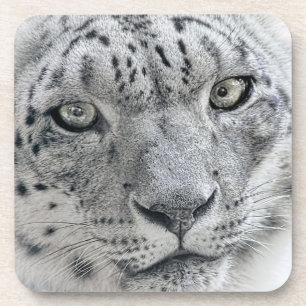 Porta-copo Leopardo branco exótico de neve