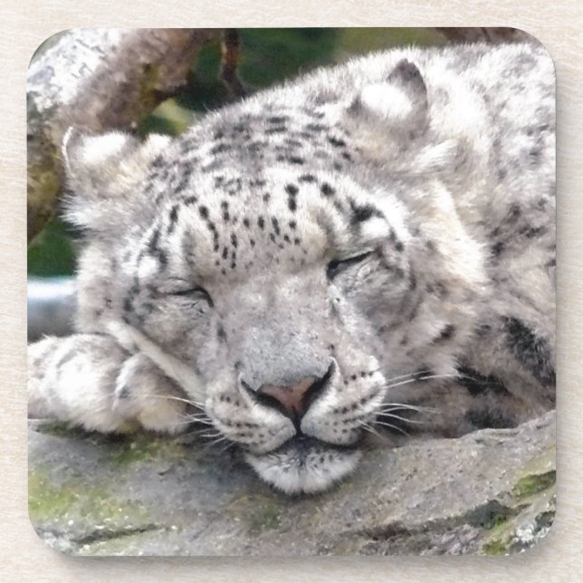 Porta-copo Leopardo de Neve - lindo! (Frente)