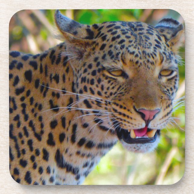 Porta-copo Leopardo Manchado (Frente)