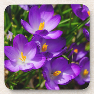Porta-copo Lilac Crocuses
