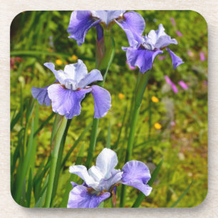 Porta-copo Lindas flores roxas da íris