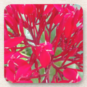 Porta-copo Lindas flores vermelhas incríveis