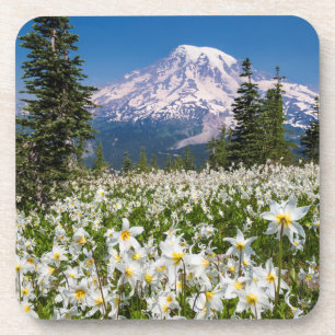 Porta-copo Lírios avalanche e Monte Rainier 2